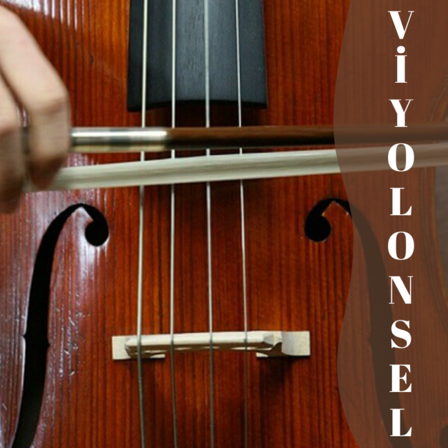 VİYOLONSEL ALT GÖRSEL