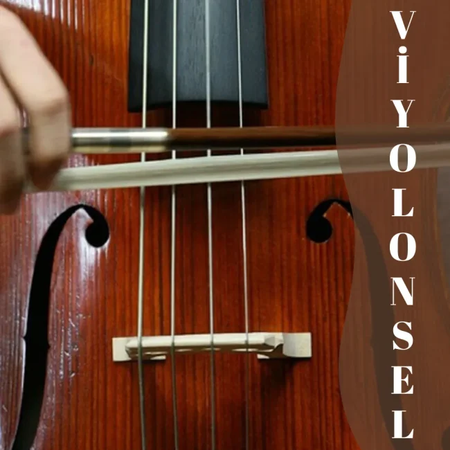 VIYOLONSEL-ALT-GORSEL